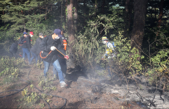 잔불 제거 나선 강릉시청 직원들      (강릉=연합뉴스) 7일 강원 강릉시청 직원들이 성산면 산불 지역에서 잔불 제거 작업을 벌이고 있다. 2017.5.7 [강릉시청 제공=연합뉴스]      yoo21@yna.co.kr  (끝)